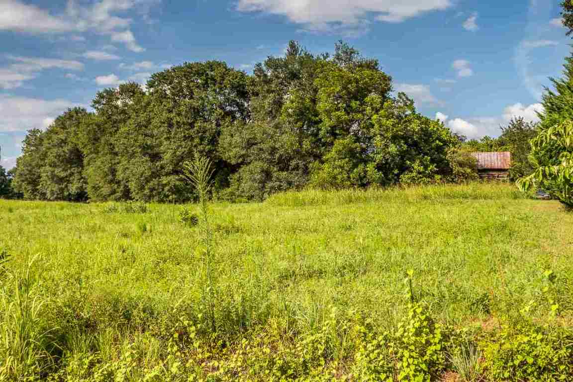 151 Berry Road Pelzer, SC 29669 - Photo 5 of 17
