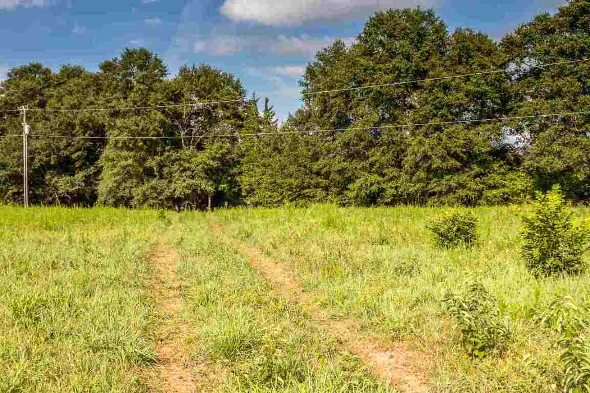151 Berry Road Pelzer, SC 29669 - Photo 6 of 17