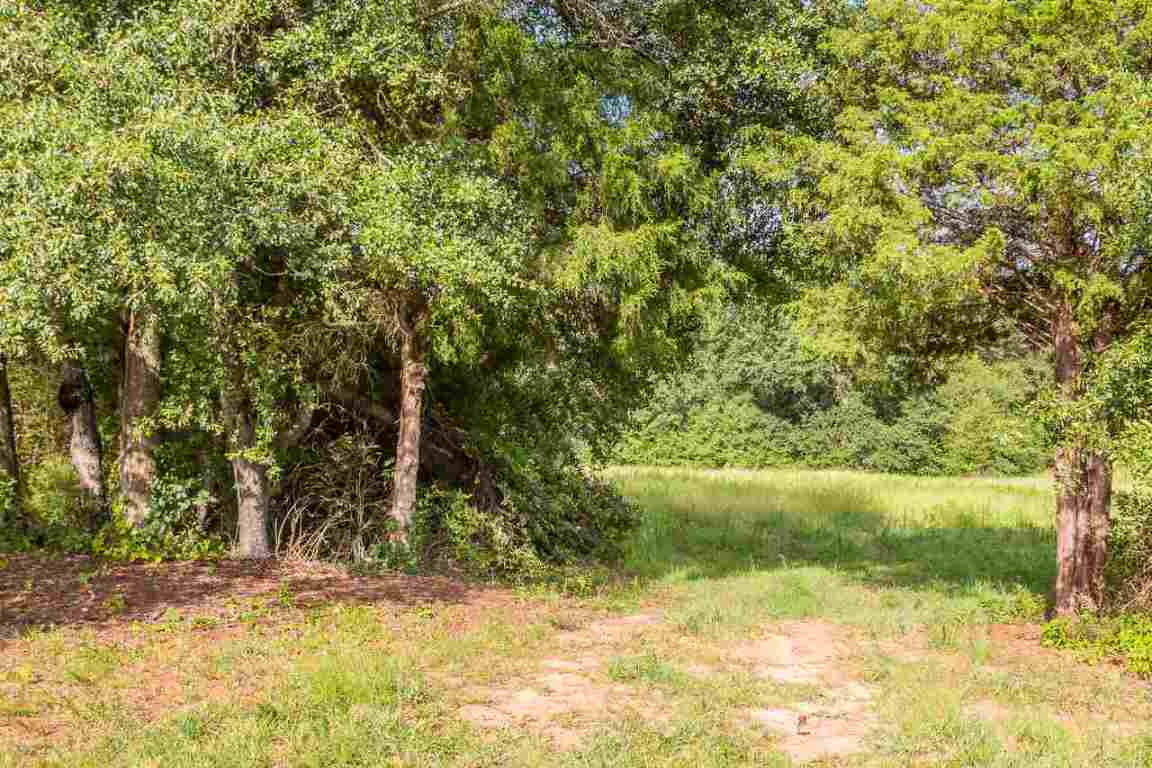 151 Berry Road Pelzer, SC 29669 - Photo 7 of 17