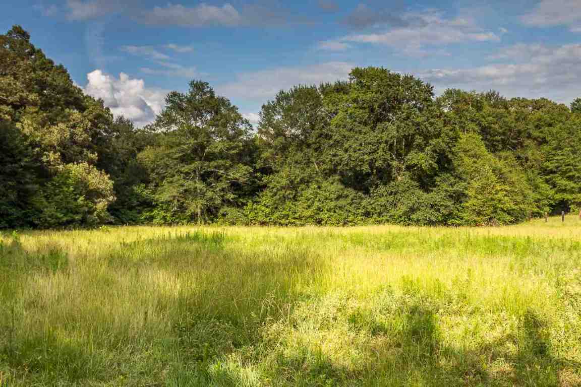 151 Berry Road Pelzer, SC 29669 - Photo 8 of 17