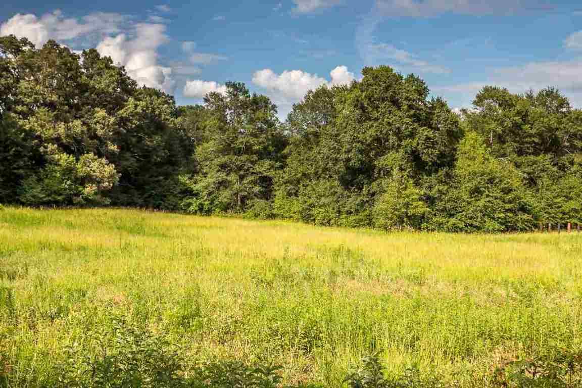 151 Berry Road Pelzer, SC 29669 - Photo 10 of 17