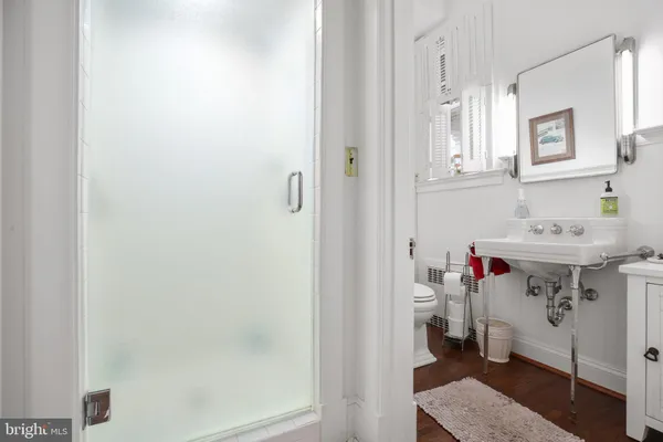 a view of a big yard with plants and large trees