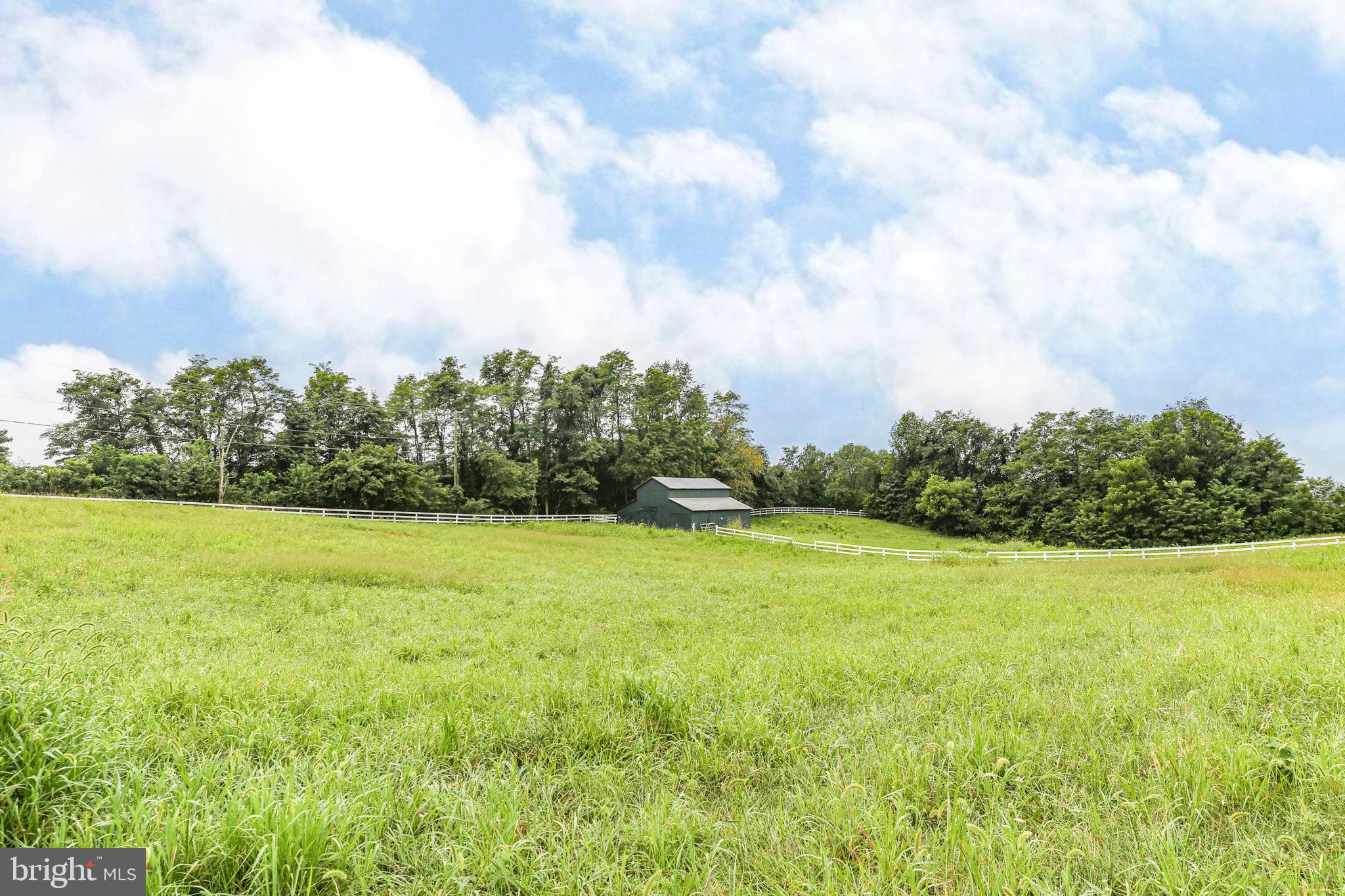 590 North Madison Road Orange, VA 22960 - Photo 60 of 88 a view of a field with an trees