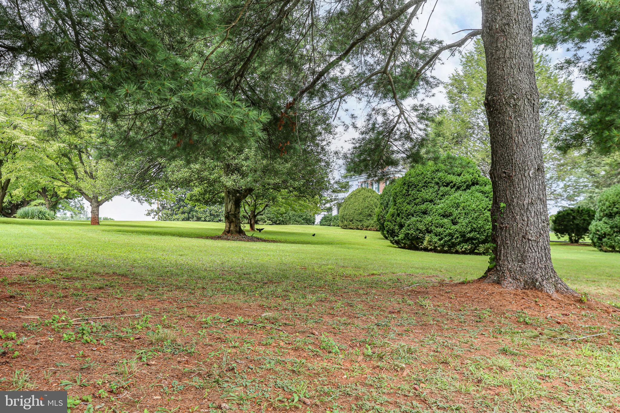 590 North Madison Road Orange, VA 22960 - Photo 73 of 88