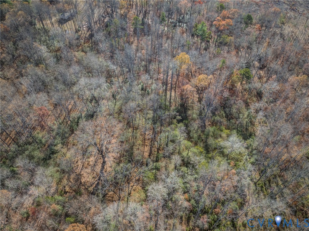 0 Porters Road Esmont, VA 22937 - Photo 18 of 27 Gallery Image 18