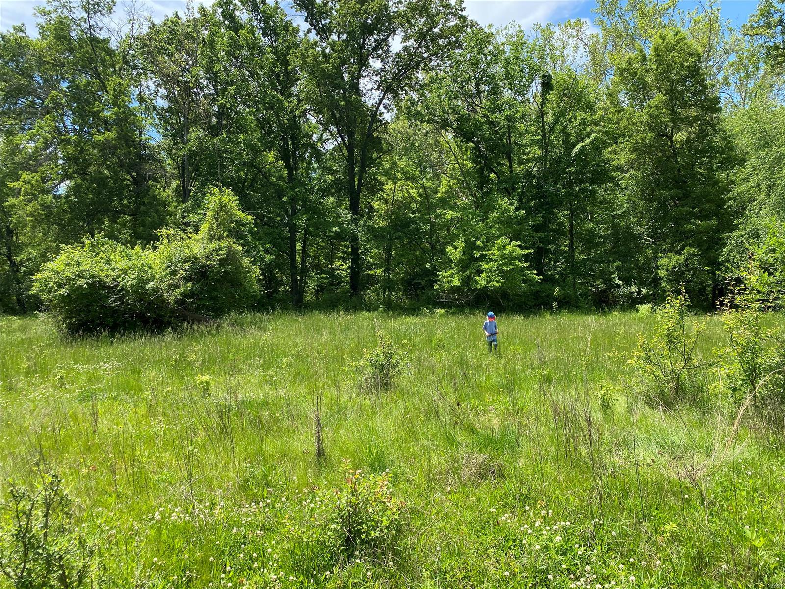 231 Ries Road, Unit A Ballwin, MO 63021 - Photo 3 of 7