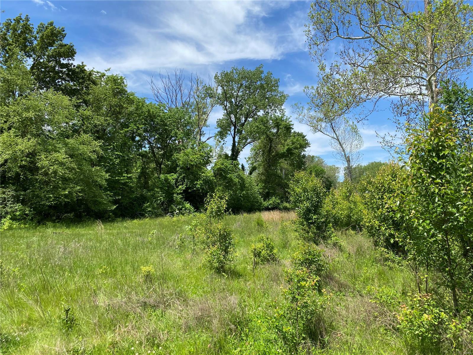 231 Ries Road, Unit A Ballwin, MO 63021 - Photo 4 of 7