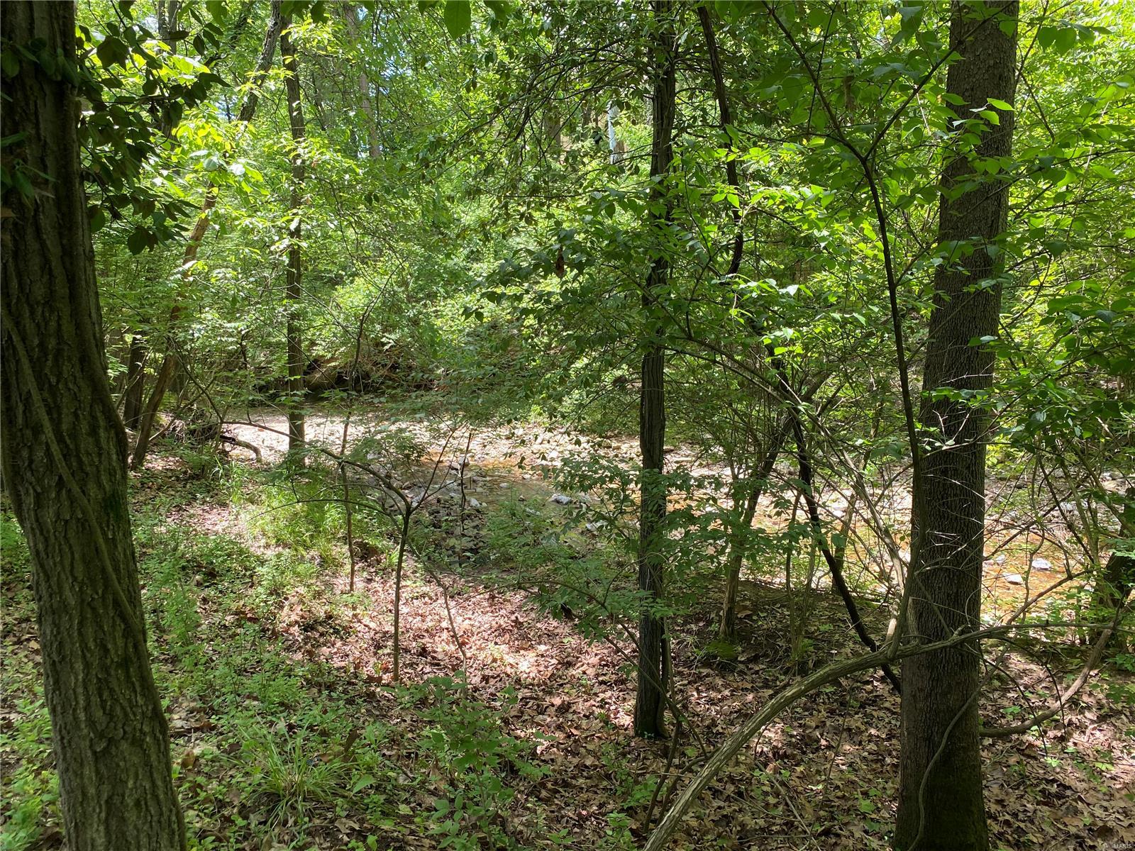 231 Ries Road, Unit A Ballwin, MO 63021 - Photo 5 of 7