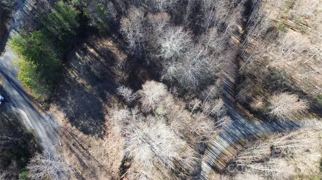 a view of a forest with lots of trees