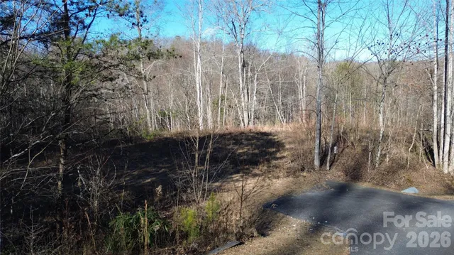 a view of a yard with trees