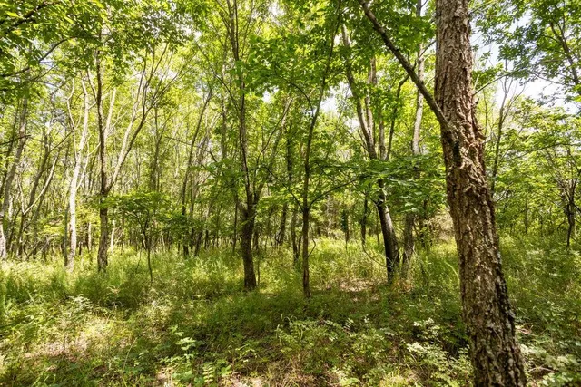 $848,000 | 0 Southwest 90th Lane, Liberal, MO 64762