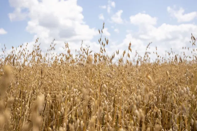 $848,000 | 0 Southwest 90th Lane, Liberal, MO 64762