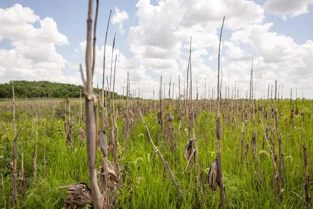 $848,000 | 0 Southwest 90th Lane, Liberal, MO 64762