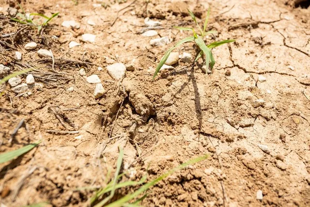 $848,000 | 0 Southwest 90th Lane, Liberal, MO 64762