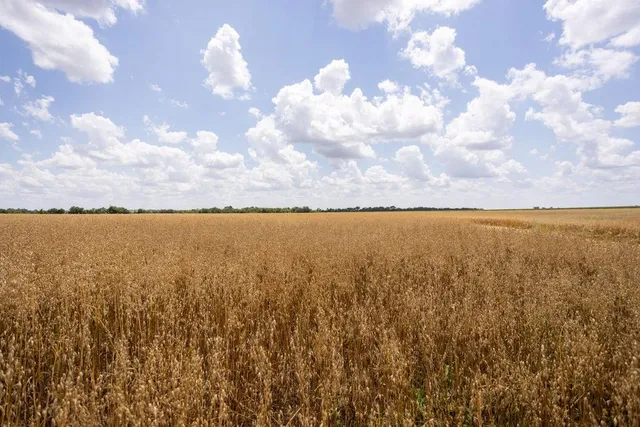 $848,000 | 0 Southwest 90th Lane, Liberal, MO 64762