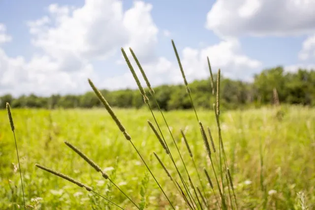 $848,000 | 0 Southwest 90th Lane, Liberal, MO 64762