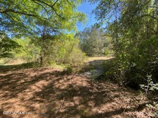 18066 Wells Road Jacksonville, FL 32234 - Photo 46 of 50 a view of a yard with a tree