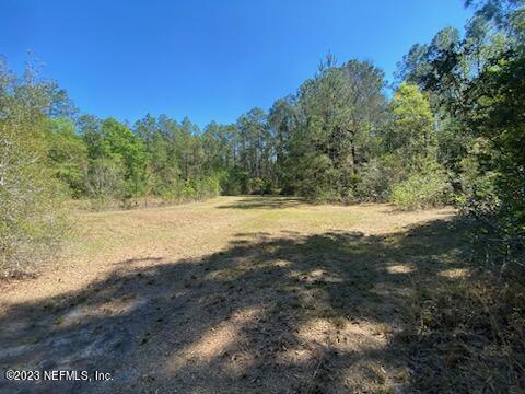 18066 Wells Road Jacksonville, FL 32234 - Photo 48 of 50 a view of a yard with a tree