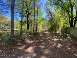 18066 Wells Road Jacksonville, FL 32234 - Photo 50 of 50 a view of a forest with trees in the background