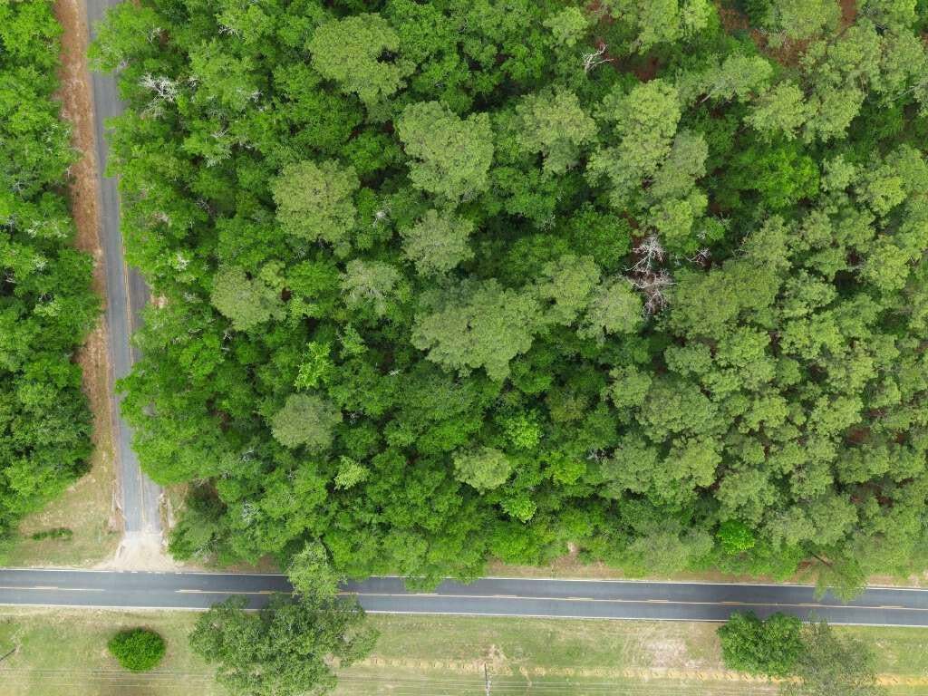 Lot 4 Holiness Church Road Wagener, SC 29164 - Photo 3 of 17