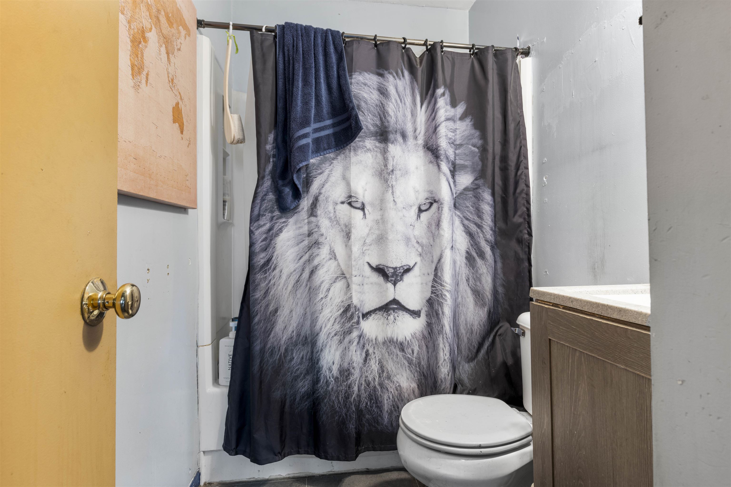 907 Woolf Court Rochelle, IL 61068 - Photo 10 of 15 a white toilet sitting next to a shower curtain