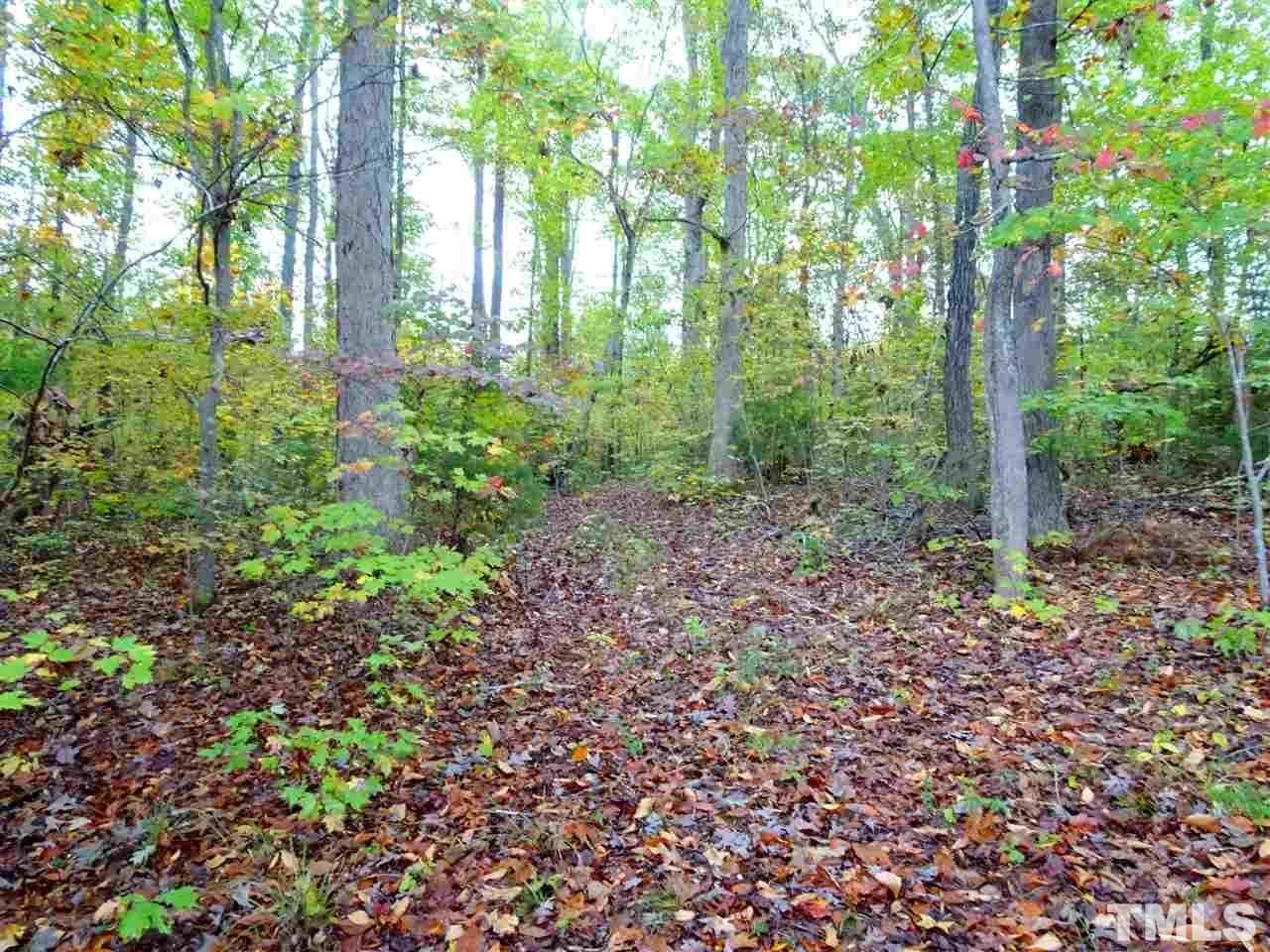 Reed Road Boydton, VA 23917 - Photo 18 of 24 a view of a garden with trees