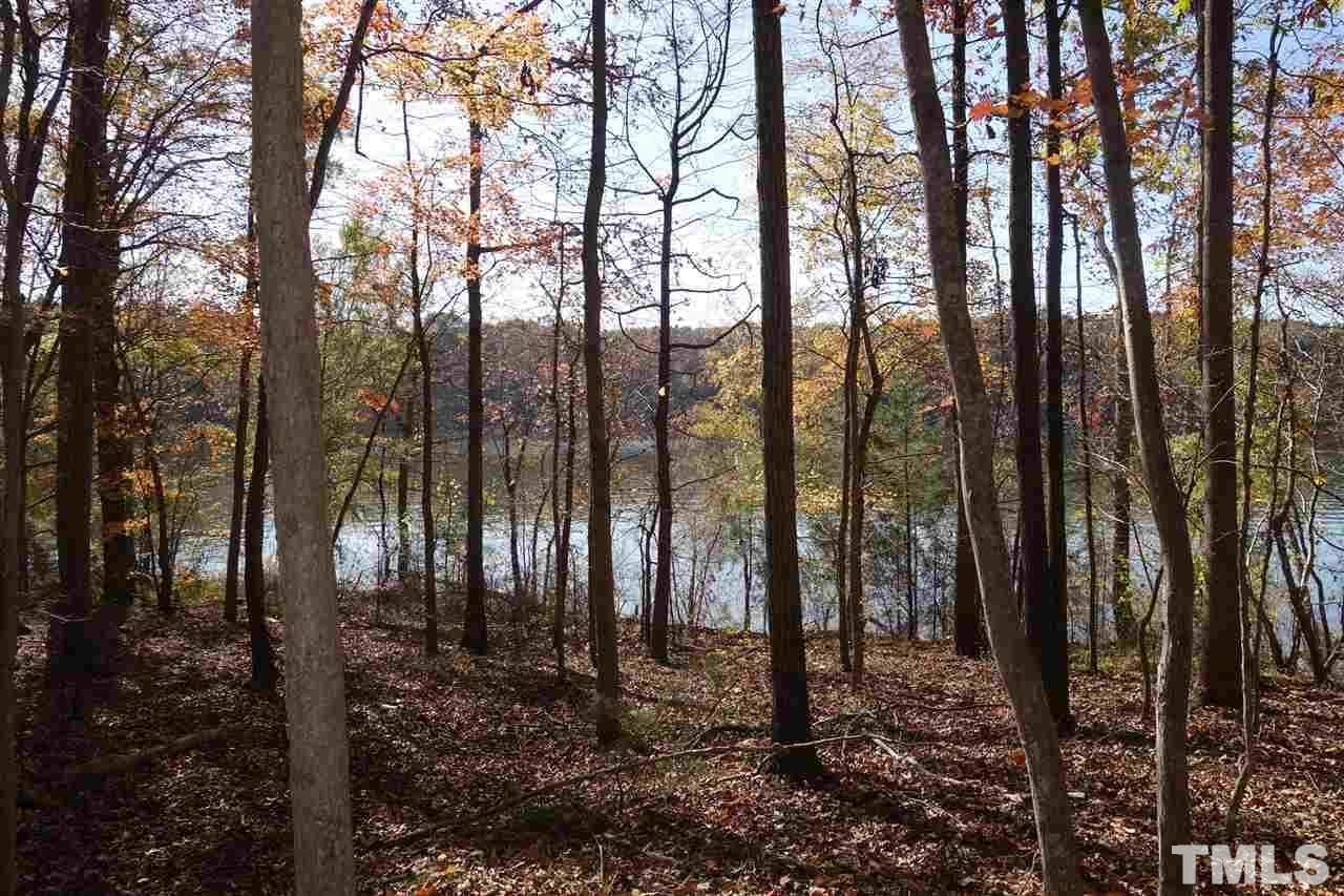 Reed Road Boydton, VA 23917 - Photo 3 of 24 a view of three trees
