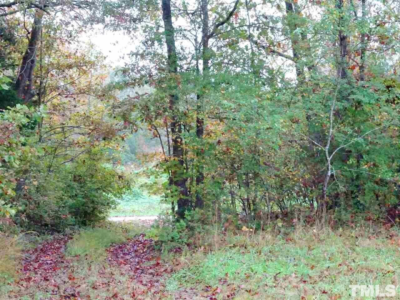 Reed Road Boydton, VA 23917 - Photo 21 of 24 a view of a garden with plants and large trees