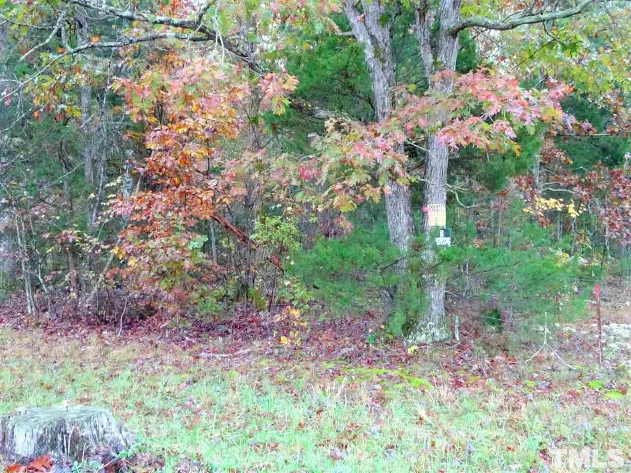 Reed Road Boydton, VA 23917 - Photo 23 of 24 a picture of plants