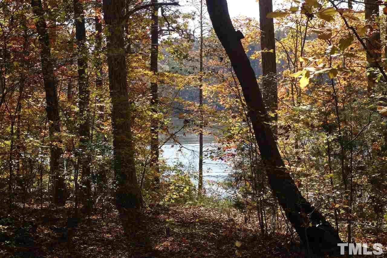 Reed Road Boydton, VA 23917 - Photo 5 of 24 a yard with tall trees