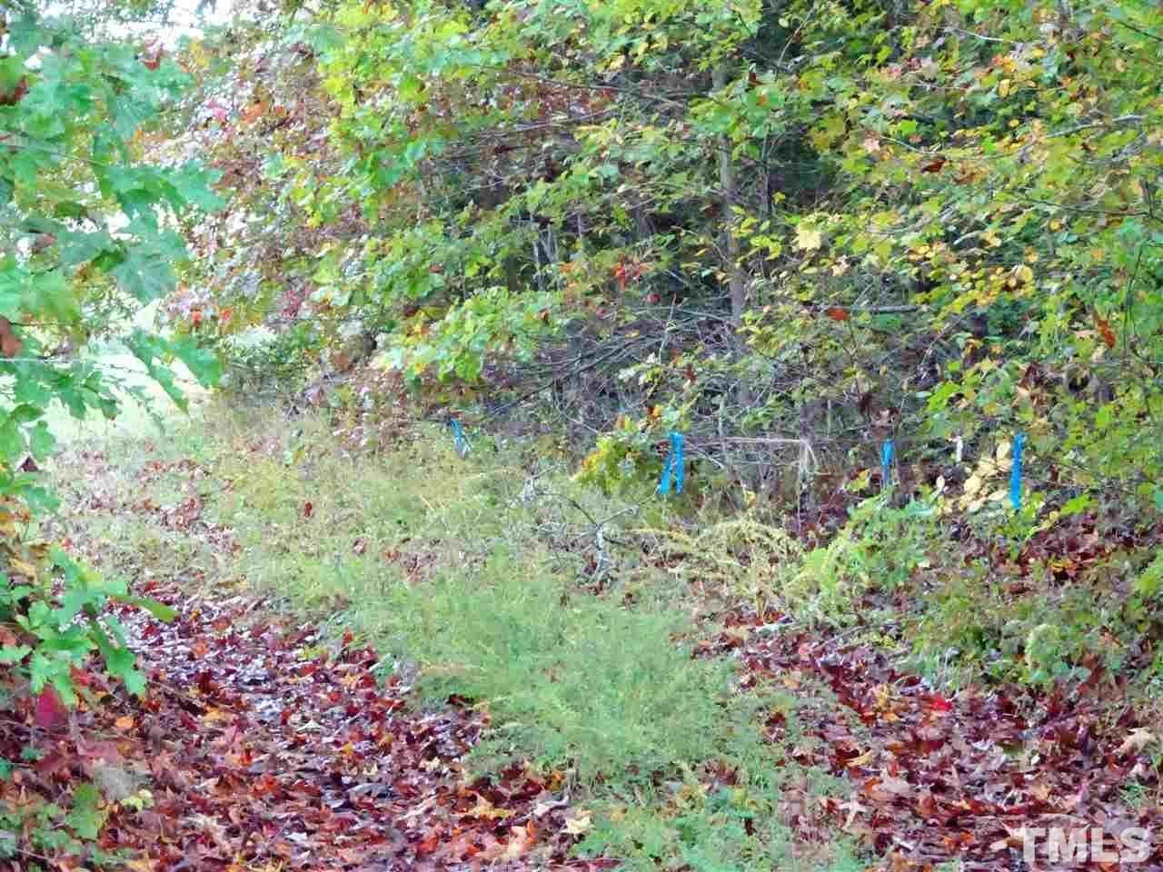 Reed Road Boydton, VA 23917 - Photo 7 of 24 a view of a garden with plants and flowers