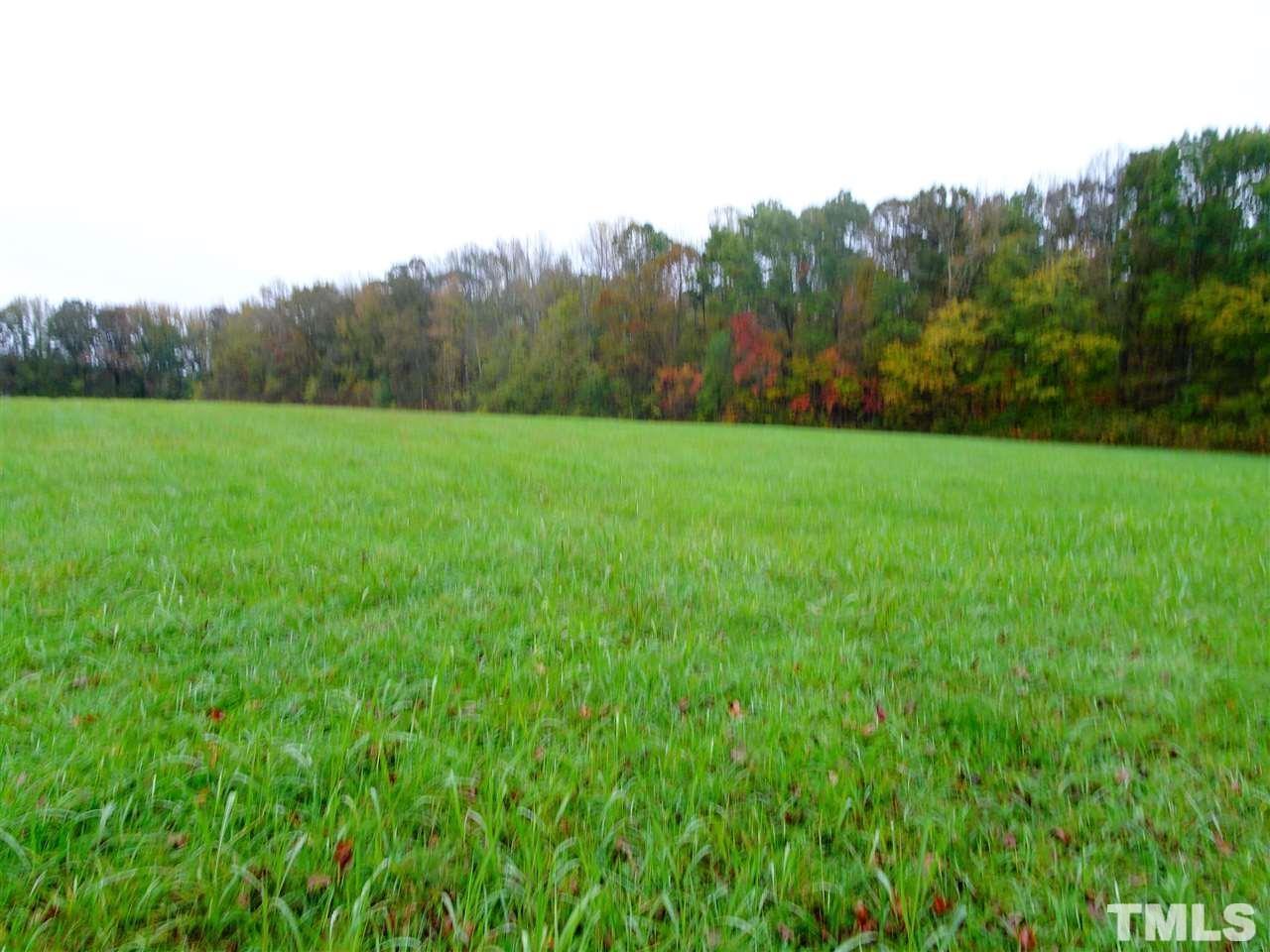 Reed Road Boydton, VA 23917 - Photo 9 of 24 a view of field with trees in the background