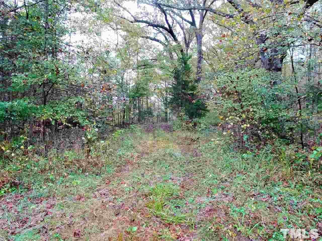 Reed Road Boydton, VA 23917 - Photo 10 of 24 a view of a lush green forest