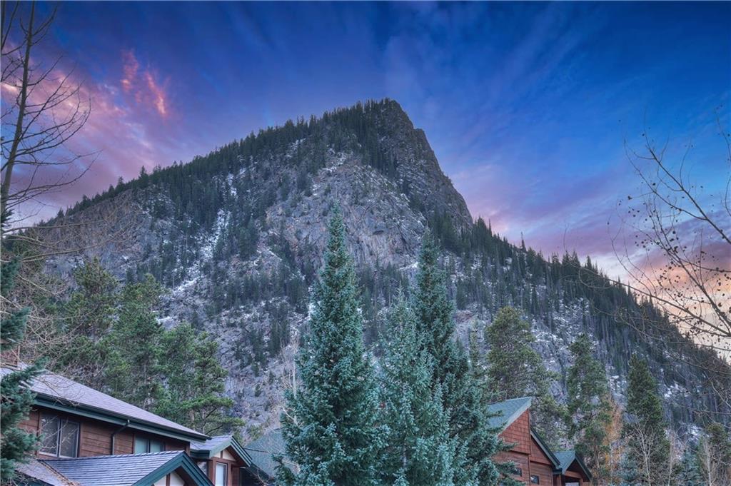 95 Riverside Place, Unit A Frisco, CO 80443 - Photo 10 of 32 Gallery Image 10
