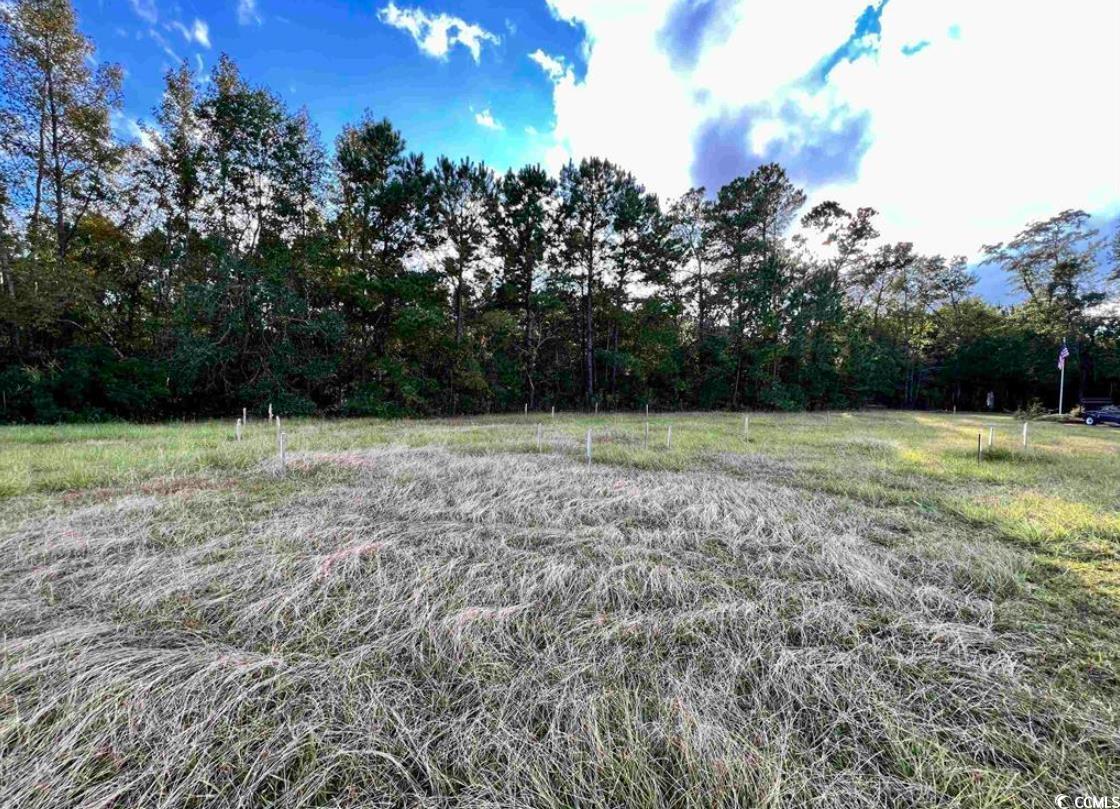 119 Hampton Ridge Road Conway, SC 29527 - Photo 1 of 3 Gallery Image 1