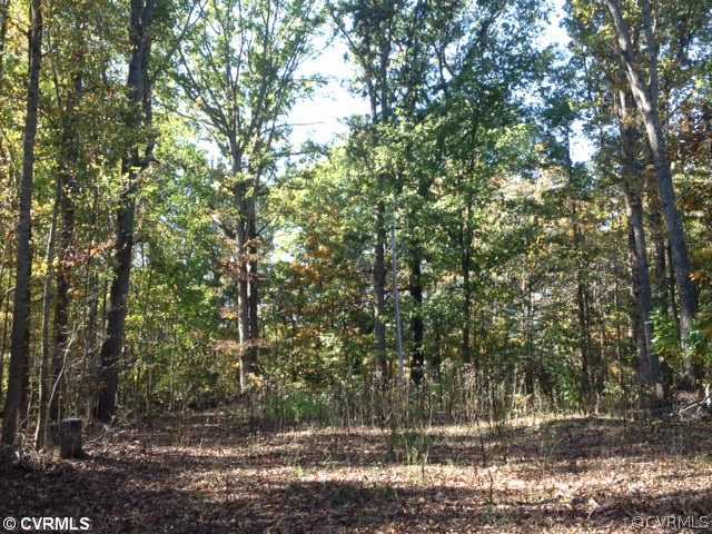 2-acres Cook Road Powhatan, VA 23139 - Photo 1 of 5 Gallery Image 1
