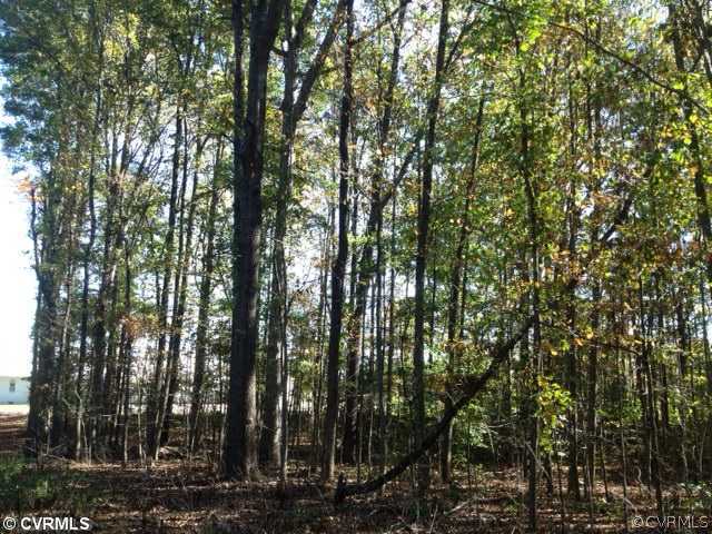 2-acres Cook Road Powhatan, VA 23139 - Photo 3 of 5 Gallery Image 3