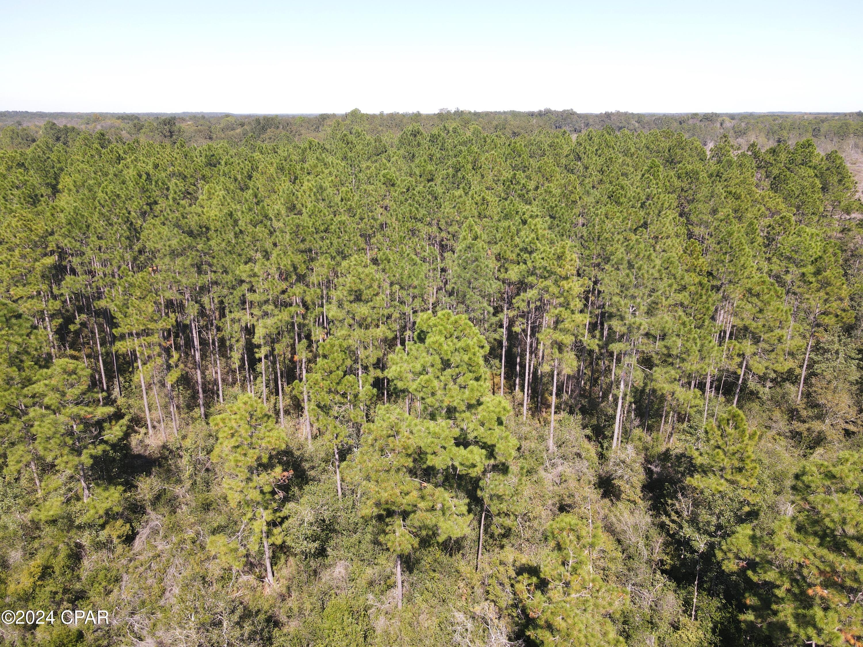 2270 Boswell Road Bonifay, FL 32425 - Photo 20 of 33 Gallery Image 20