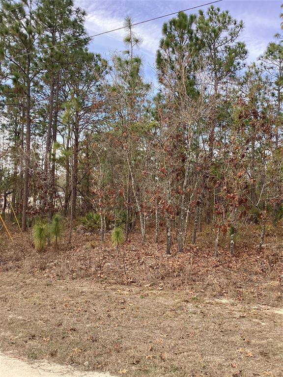0 Chickadee Road Weeki Wachee, FL 34614 - Photo 2 of 5