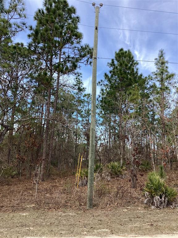 0 Chickadee Road Weeki Wachee, FL 34614 - Photo 4 of 5