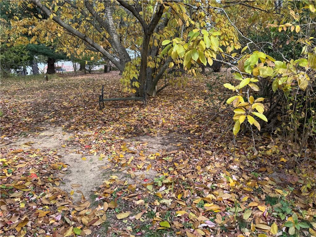 2086 River Hill Road Monongahela, PA 15063 - Photo 20 of 23 a view of a tree in front of a yard