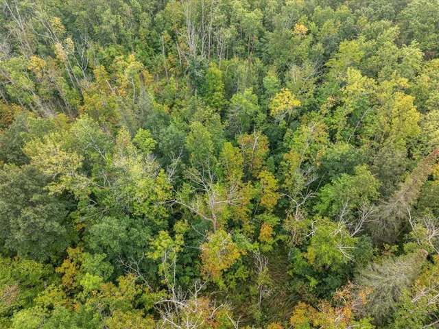 $272,000 | 10657 Black Bear Road, Brainerd, MN 56401