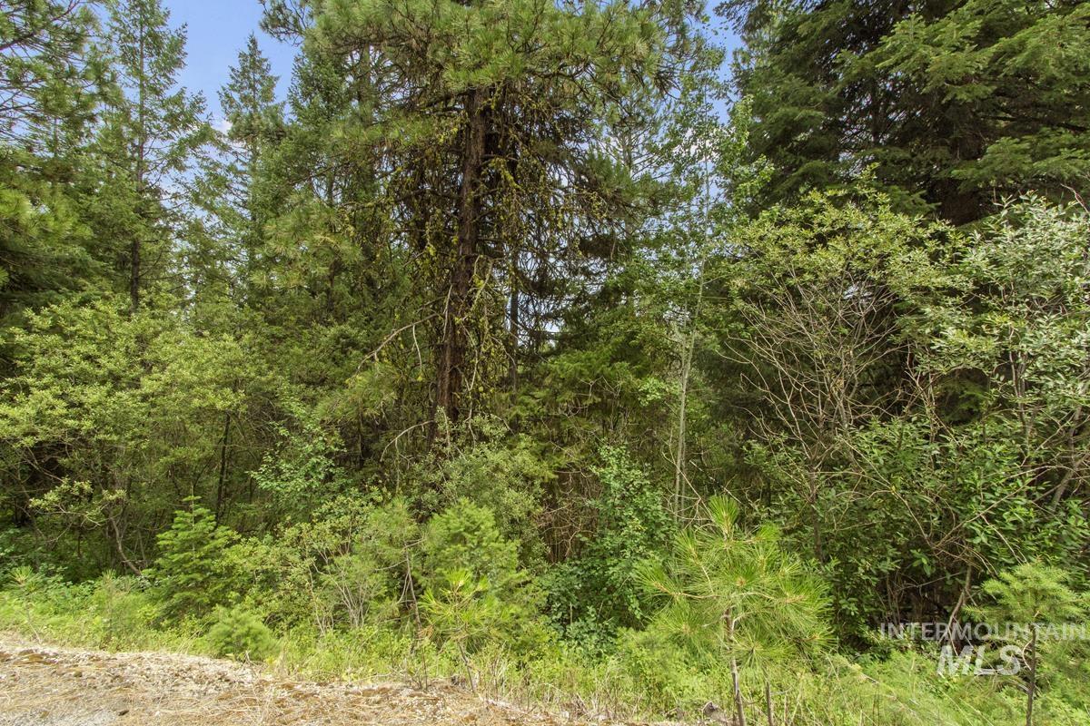 517 Susan Road Cascade, ID 83611 - Photo 3 of 9