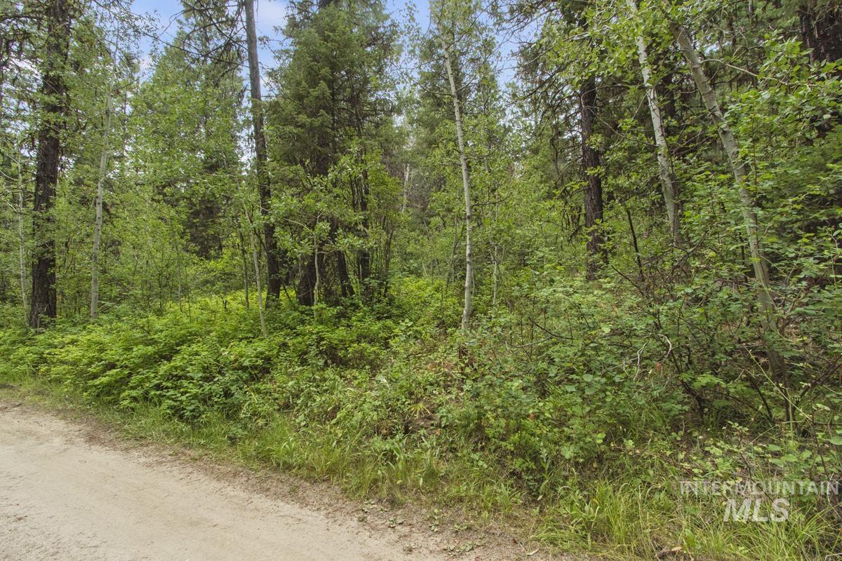 517 Susan Road Cascade, ID 83611 - Photo 4 of 9
