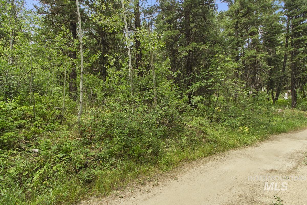 517 Susan Road Cascade, ID 83611 - Photo 5 of 9