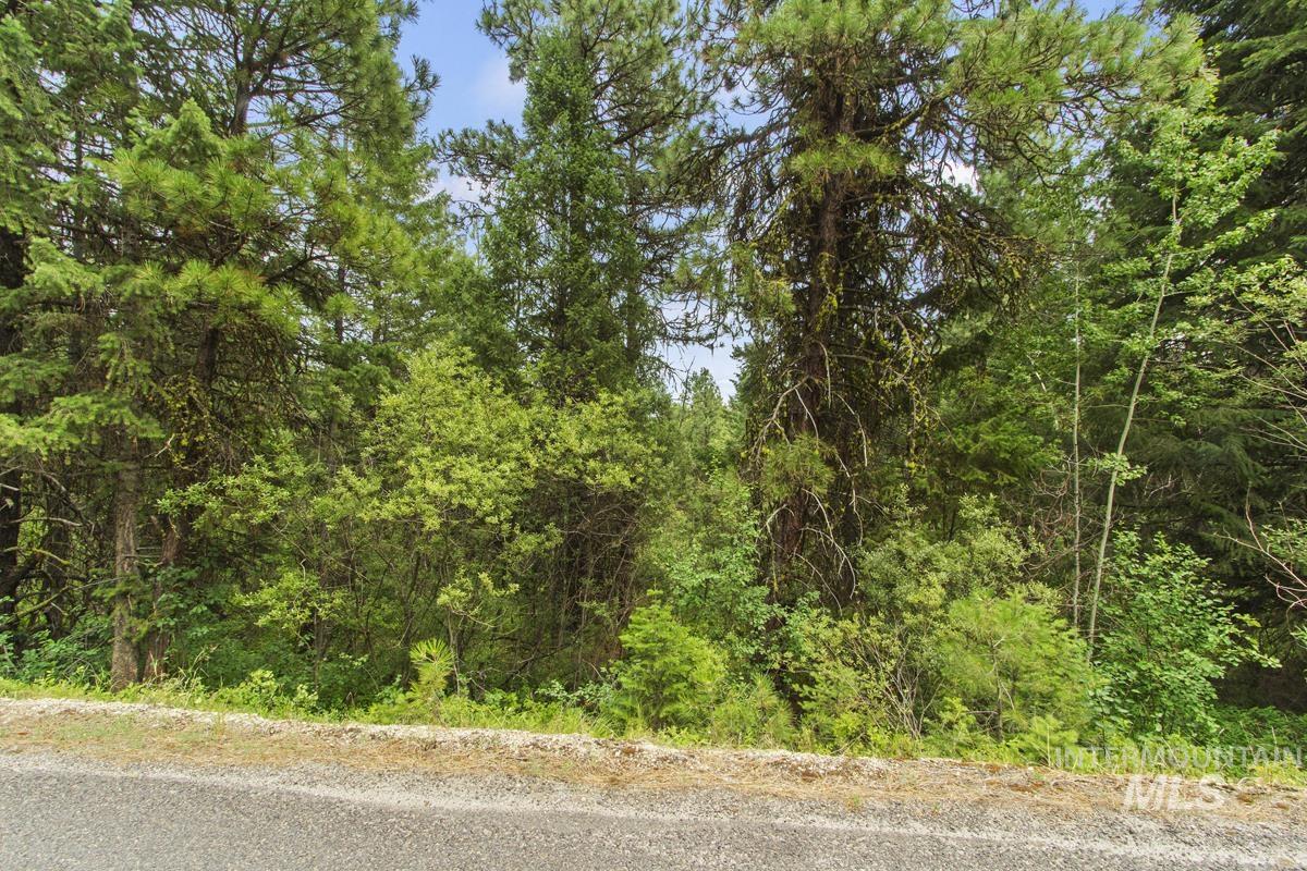517 Susan Road Cascade, ID 83611 - Photo 6 of 9