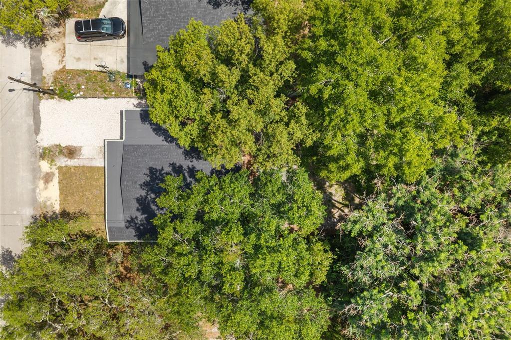 127 Leon Street Altamonte Springs, FL 32701 - Photo 29 of 31 Gallery Image 29