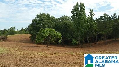 9 Highway 9 Lineville, AL 36266 - Photo 7 of 8