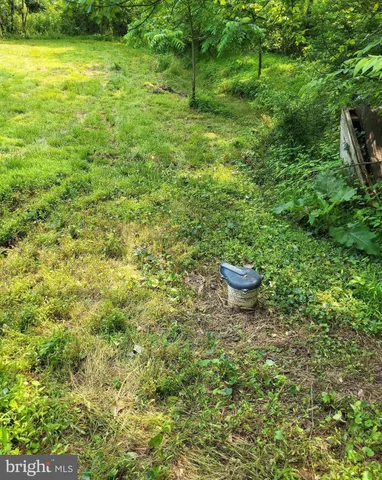 a view of a backyard of a house with a fountain