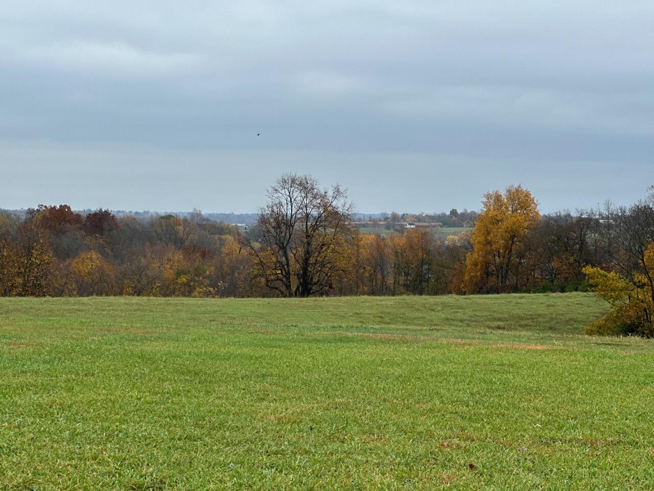 1045 Shields Road Sharpsburg, KY 40374 - Photo 34 of 46 1000000825